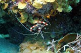 Curacao 04-12 242